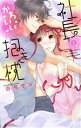 【中古】 社長のかわいい抱き枕 ミッシィC YLC collection/白弓サン(著者)