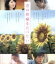 【中古】 君の膵臓をたべたい 通常版(Blu−ray Disc)/浜辺美波,北村匠海,大友花恋,月川翔(監督),住野よる(原作) 2,783円