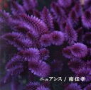 【中古】 ニュアンス/南佳孝