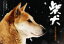 【中古】 写真集 柴犬 よみがえる縄文犬/なかのひろみ(著者),福田豊文(その他),照井光夫(その他) 1,573円