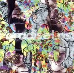 š ParadiseLost椯줺ĤŤ