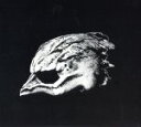 【中古】 【輸入盤】Legend Of The Seagullmen／レジェンド オブ ザ シーガルメン