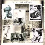 【中古】 ファミリー・グルーヴ／ザ・ネヴィル・ブラザーズ