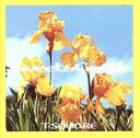 【中古】 SWEET&GENTLE/T−SQUARE,T−SQUARE/THE SQUARE