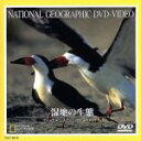 【中古】 ナショナル・ジオグラフィック 湿地の生態/(ドキュメンタリー)