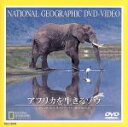 【中古】 ナショナル・ジオグラフィック アフリカを生きるゾウ/(ドキュメンタリー)