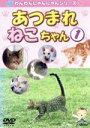 【中古】 あつまれねこちゃん　1　かわいいねこちゃんがいっぱい／（教材）