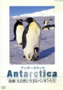 【中古】 Antarctica　～南極大自然に生きるペンギンたち～／（ドキュメンタリー）