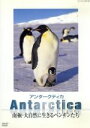 【中古】 Antarctica 〜南極大自然に生きるペンギンたち〜/(ドキュメンタリー)