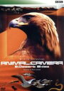 【中古】 ANIMAL:CAMERA 2.Desert Skies/BBC Wildlife Exclusives/(ドキュメンタリー)
