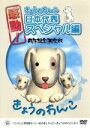 【中古】 感動!きょうのわんこ日本代表スペシャル編 戌年記念限定版/(趣味/教養)