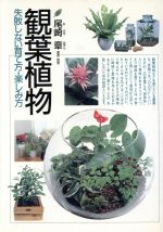 【中古】 観葉植物 失敗しない育て