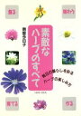 【中古】 素敵なハーブのすべて 毎日の暮らしを彩るハーブの楽しみ方/南雲今日子(著者)