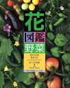 【中古】 花図鑑 野菜 草土 花図鑑シリーズ4/芦沢正和(その他),内田正宏(その他)