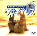 【中古】 ウサギとリス/ちっちゃいものクラブ/(動物)
