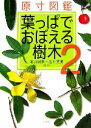 【中古】 原寸図鑑 葉っぱでおぼえる樹木(2)/濱野周泰,石井英美【監修】