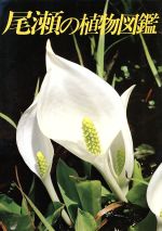 【中古】 尾瀬の植物図鑑／新井幸人【写真】，里見哲夫【解説】