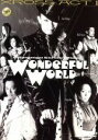 【中古】 Wonderful World/黒須洋壬