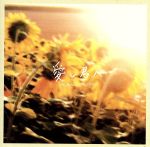 【中古】 愛し君へ ORIGINAL SOUND TRACK/藤原いくろう(音楽)