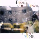 【中古】 From　a　smalltown（初回限定盤）（DVD付）／GRAPEVINE