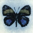 【中古】 Flora(初回限定盤)(DVD付)/ART−SCHOOL