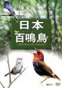 （趣味／教養）販売会社/発売会社：株式会社シンフォレスト(株式会社竹緒)発売年月日：2008/06/26JAN：4945977201141日本に生息する野鳥の中から鳴き声の美しいもの、170種以上をまとめた映像図鑑。“日本三鳴鳥”のウグイス、オオルリ、コマドリから、キンバトやヤイロチョウなどの希少種までを網羅している。