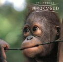 【中古】 頭のよくなるCD/(ヒーリング)