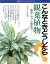 【中古】 観葉植物 こんなときどうしたら？／主婦の友社(著者)