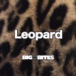 【中古】 Leopard／BIG　BITES