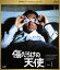 【中古】 傷だらけの天使 Vol.1(Blu−ray Disc)/萩原健一,岸田今日子,水谷豊,井上堯之(音楽),大野克夫(音楽) 8,228円