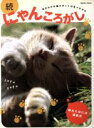 【中古】 続・にゃんころがし/趣味・就職ガイド・資格