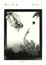 【中古】 飛ぶ孔雀/山尾悠子(著者)