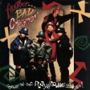 【中古】 coolin’at the PLAYGROUND ya’know !/アナザー・バッド・クリエイション