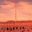 【中古】 YES,NO/THE SQUARE(T−SQUARE),T−SQUARE/THE SQUARE