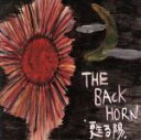 【中古】 甦る陽／THE　BACK　HORN