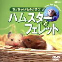 【中古】 ハムスターとフェレット ちっちゃいものクラブ/自然・風景