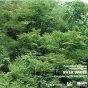 【中古】 space program ［EVER WHITE］ Compiled by DAISHI DANCE／（オムニバス）,DAISHI DANCE（選曲 監修）