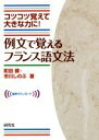 【中古】 例文で覚えるフランス語文法 コツコツ覚えて大きな力に!/町田健(著者),市川しのぶ(著者)