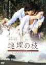 【中古】 「連理の枝」ガイドDVD～これが最後の恋になる／キム・ソンジュン（監督）,チェ・ジウ,チョ・ハンソン