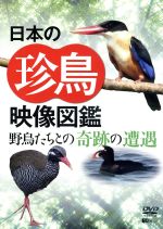 【中古】 シンフォレストDVD　日本の珍鳥映像図鑑　野鳥たちとの奇跡の遭遇／（趣味／教養）