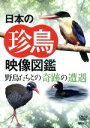 （趣味／教養）販売会社/発売会社：株式会社シンフォレスト(株式会社竹緒)発売年月日：2009/08/27JAN：4945977201226目にすることも滅多にない貴重な鳥の映像を集めた珍鳥映像図鑑。エトリピカやヤンバルクイナをはじめ国内初記録となったオオノビタキなど、国内で撮影された134種の鳥のほか、海外撮影編として85種を収録する。