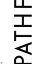 【中古】 BUMP OF CHICKEN TOUR 2017−2018 PATHFINDER SAITAMA SUPER ARENA(初回限定版)/BUMP OF CHICKEN 【中古】afb 3,509円