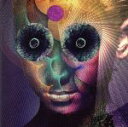  The　Insulated　World（初回生産限定盤）／DIR　EN　GREY