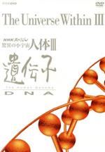 【中古】 NHKスペシャル　驚異の小宇宙　人体III　遺伝子DNA　DVD　BOX／（ドキュメンタリー）,久石譲（音楽）