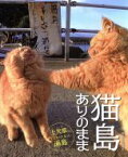 【中古】 写真集　猫島ありのまま／熊本日日新聞社