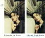 【中古】 Friends In Love/柿原朱美 871円