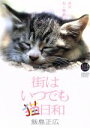 【中古】 大自然ライブラリー 街はいつでも猫日和 〜東京ねこ物語〜 飯島正広/(BGV),飯島正広(撮影)