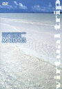 【中古】 virtual trip THE BEACH MALDIVES/(BGV)