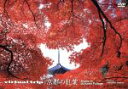 【中古】 virtual trip 京都の紅葉/(BGV)