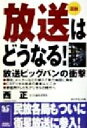 【中古】 図説　放送はどうなる！ 放送ビッグバンの衝撃／西正(著者)